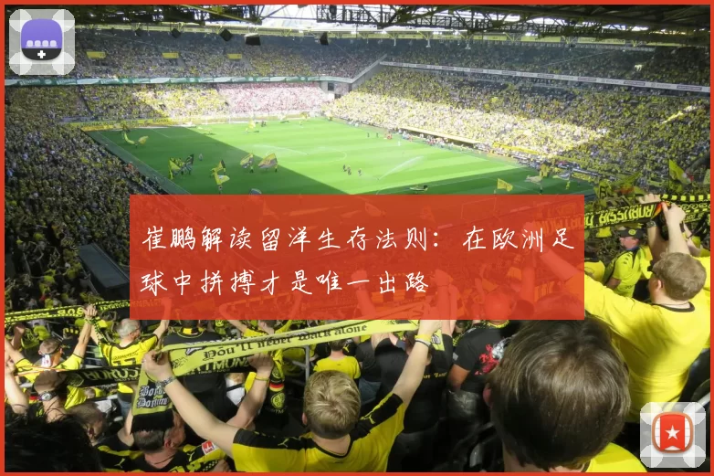 崔鹏解读留洋生存法则：在欧洲足球中拼搏才是唯一出路